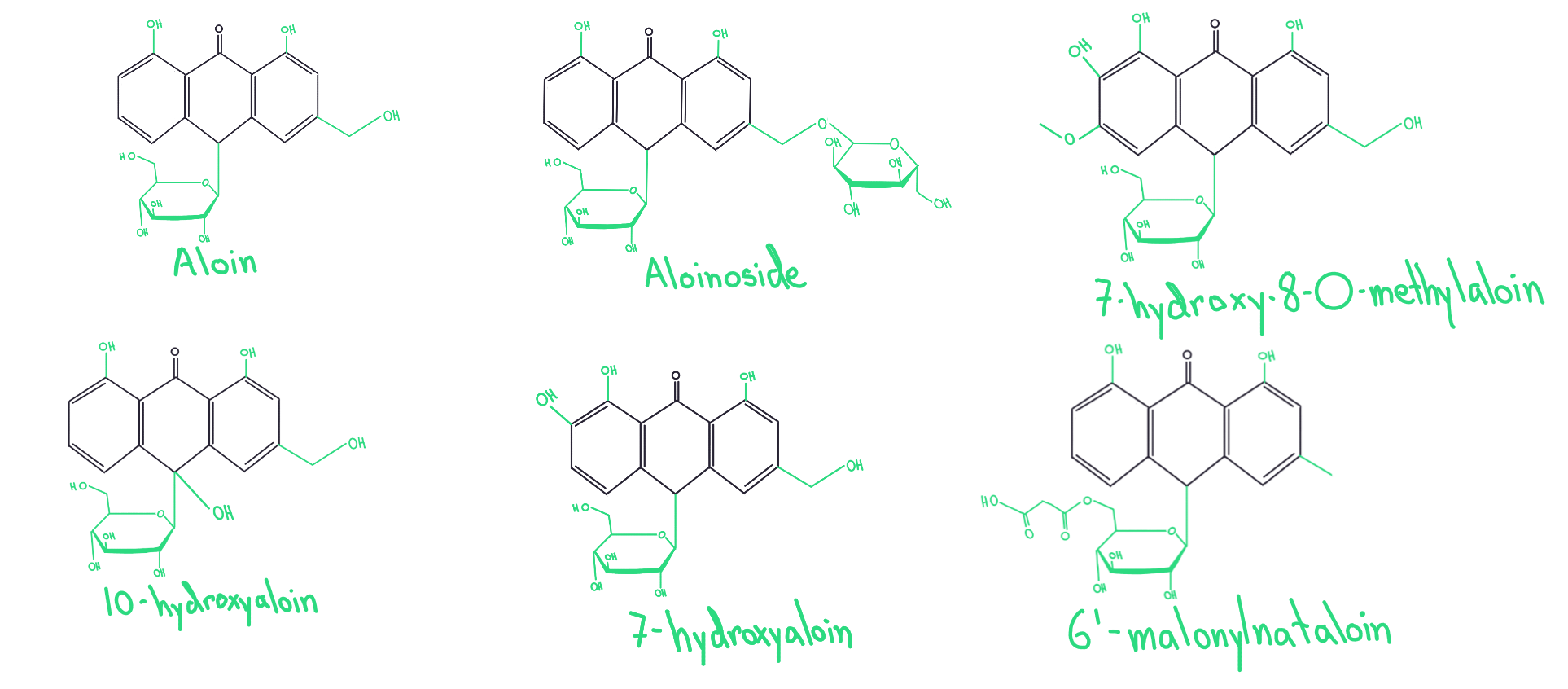 delphinidinpath